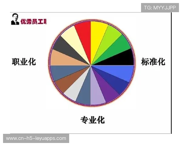 职业化加速📊体系完善